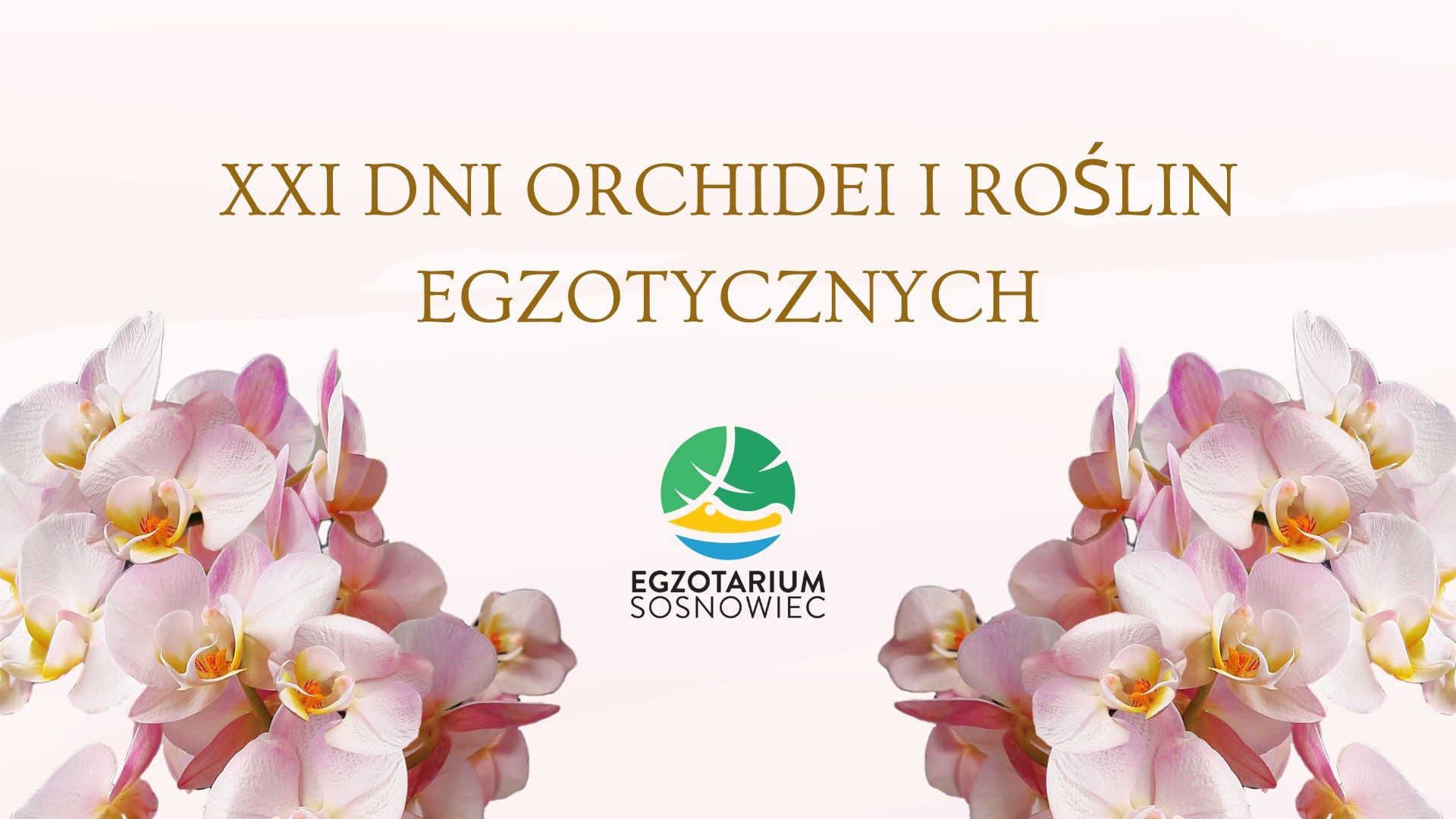 XXI Dni Orchidei i Roślin Egzotycznych